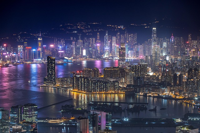 即時投注統計數據庫：深度分析與洞察